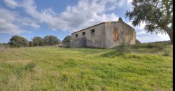 Farmhouse For Sale Olbia Ref. Murichintu