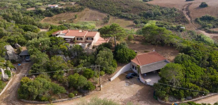 Countryhome For Sale Santa Teresa Di Gallura ref.Pozzo