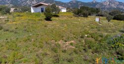 Rustic Villa With Panoramic Views For Sale Olbia; ref Capriuleddu