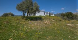 Rustic Villa With Panoramic Views For Sale Olbia; ref Capriuleddu