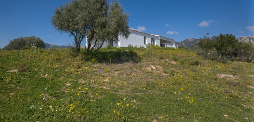 Rustic Villa With Panoramic Views For Sale Olbia; ref Capriuleddu