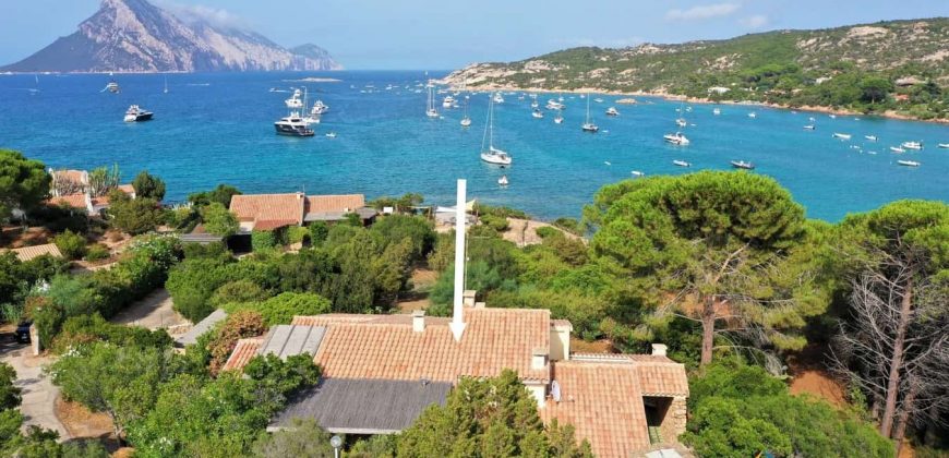 Waterfront Property For Sale In Sardinia Ref Laura