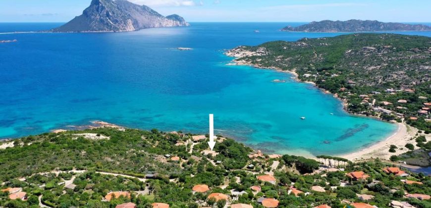 Waterfront Property For Sale In Sardinia Ref Laura