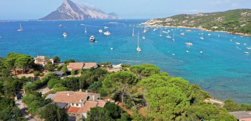 Waterfront Property For Sale In Sardinia Ref Laura