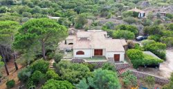 Waterfront Property For Sale In Sardinia Ref Laura