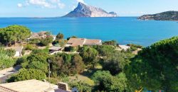 Waterfront Property For Sale In Sardinia Ref Laura