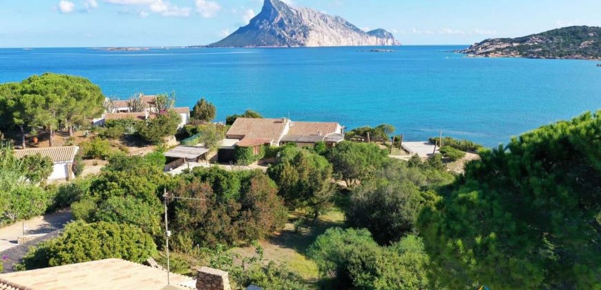 Waterfront Property For Sale In Sardinia Ref Laura