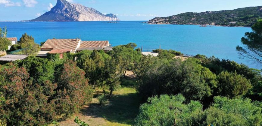 Waterfront Property For Sale In Sardinia Ref Laura