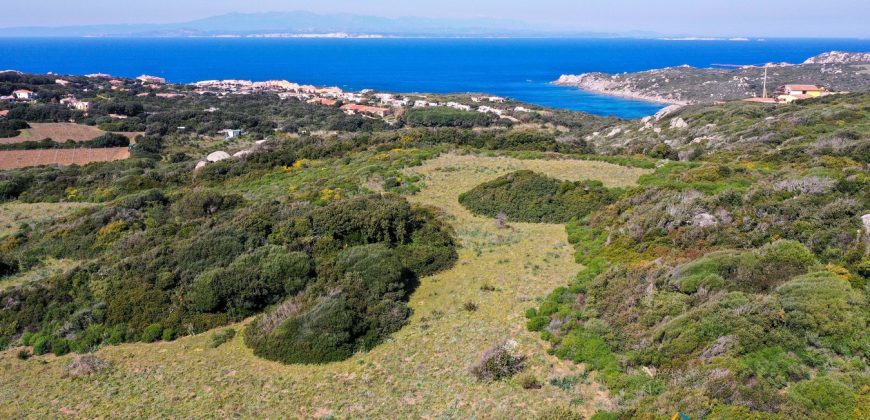 Sea View Farmhouse For Sale Santa Teresa Di Gallura ref Ficaccia