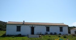 Sea View Farmhouse For Sale Santa Teresa Di Gallura ref Ficaccia