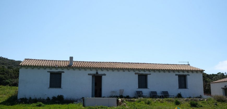 Sea View Farmhouse For Sale Santa Teresa Di Gallura ref Ficaccia