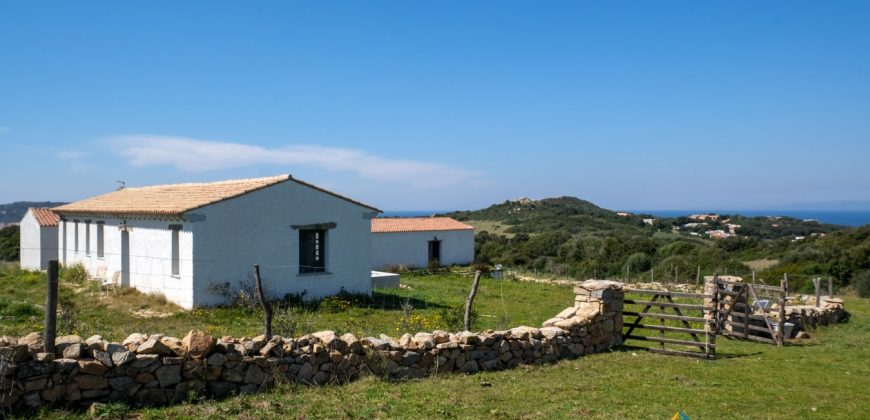 Sea View Farmhouse For Sale Santa Teresa Di Gallura ref Ficaccia