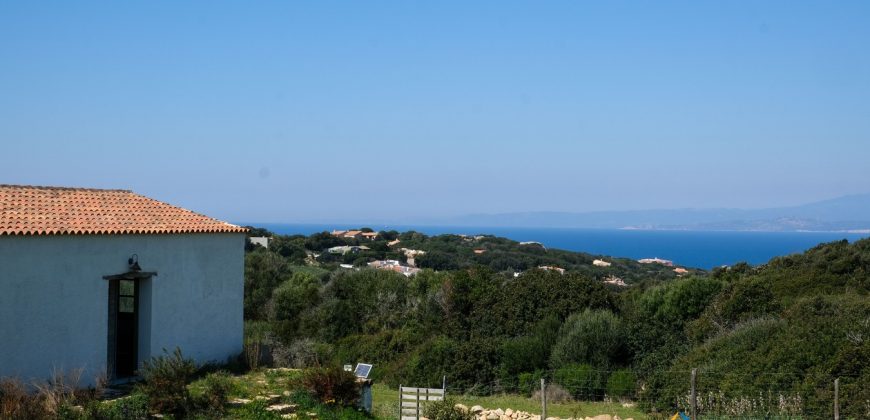 Sea View Farmhouse For Sale Santa Teresa Di Gallura ref Ficaccia