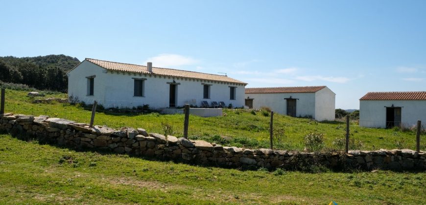 Sea View Farmhouse For Sale Santa Teresa Di Gallura ref Ficaccia