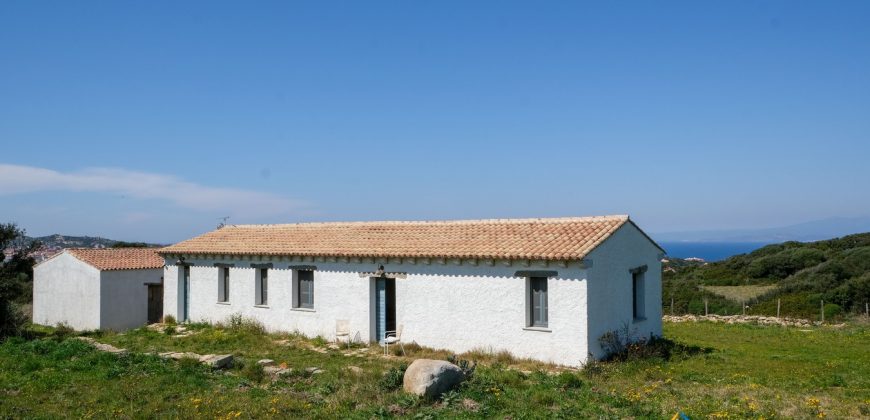 Sea View Farmhouse For Sale Santa Teresa Di Gallura ref Ficaccia