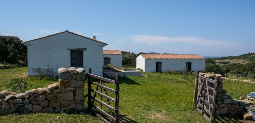 Sea View Farmhouse For Sale Santa Teresa Di Gallura ref Ficaccia