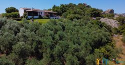 Sea View Villas For Sale Sardinia Ref.Lignamu