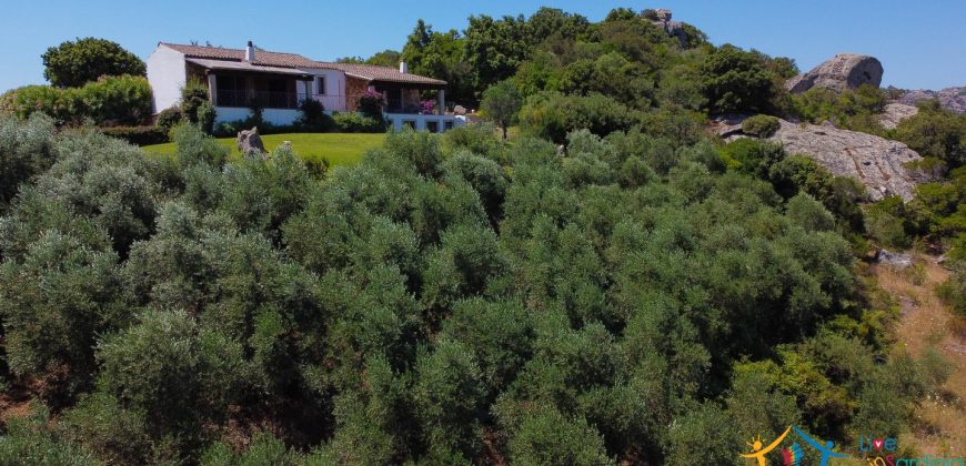 Sea View Villas For Sale Sardinia Ref.Lignamu