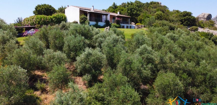 Sea View Villas For Sale Sardinia Ref.Lignamu