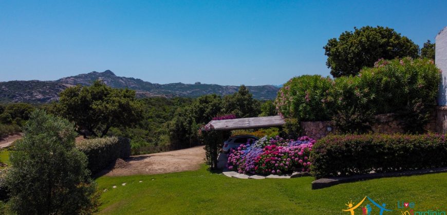 Sea View Villas For Sale Sardinia Ref.Lignamu
