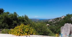 Sea View Villas For Sale Sardinia Ref.Lignamu