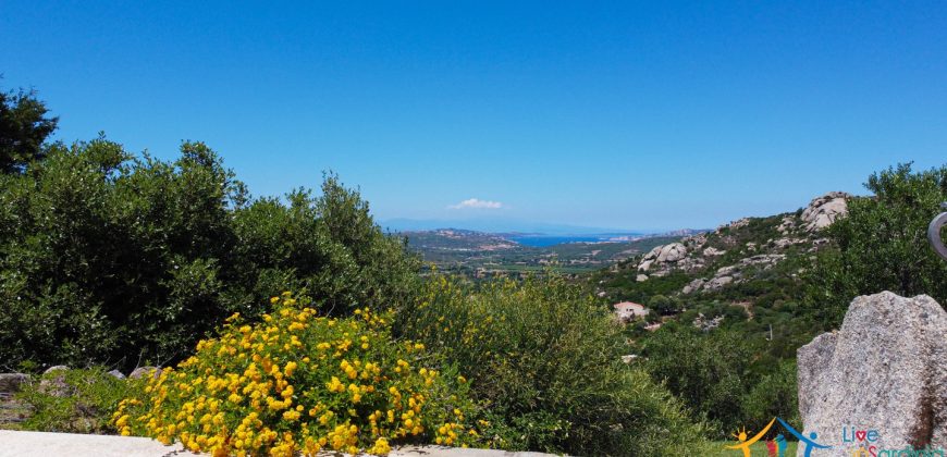Sea View Villas For Sale Sardinia Ref.Lignamu