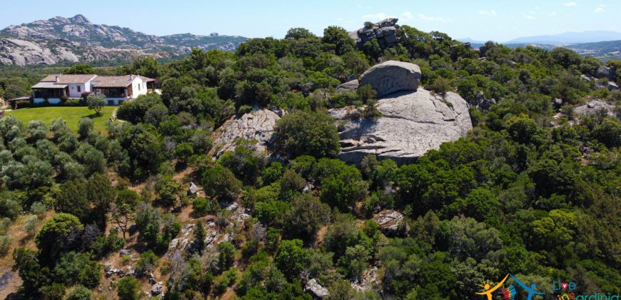 Sea View Villas For Sale Sardinia Ref.Lignamu