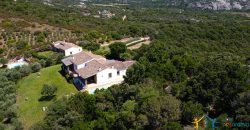 Sea View Villas For Sale Sardinia Ref.Lignamu