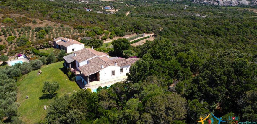 Sea View Villas For Sale Sardinia Ref.Lignamu
