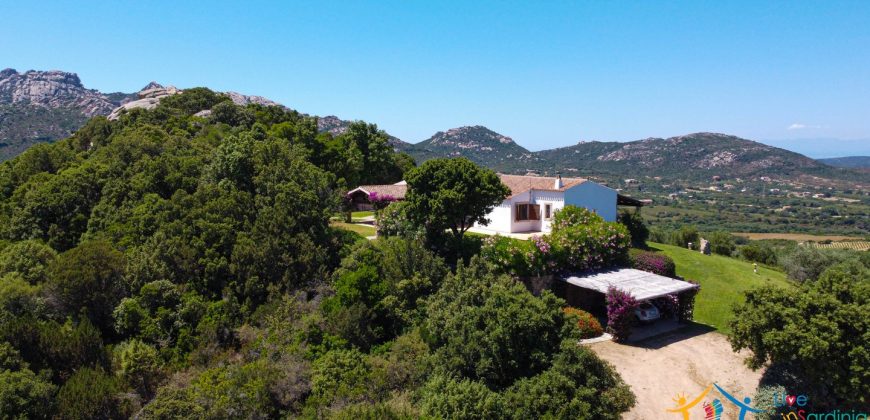 Sea View Villas For Sale Sardinia Ref.Lignamu