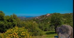 Sea View Villas For Sale Sardinia Ref.Lignamu