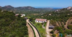 Sea View Villas For Sale Sardinia Ref.Lignamu