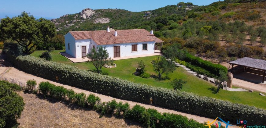 Sea View Villas For Sale Sardinia Ref.Lignamu