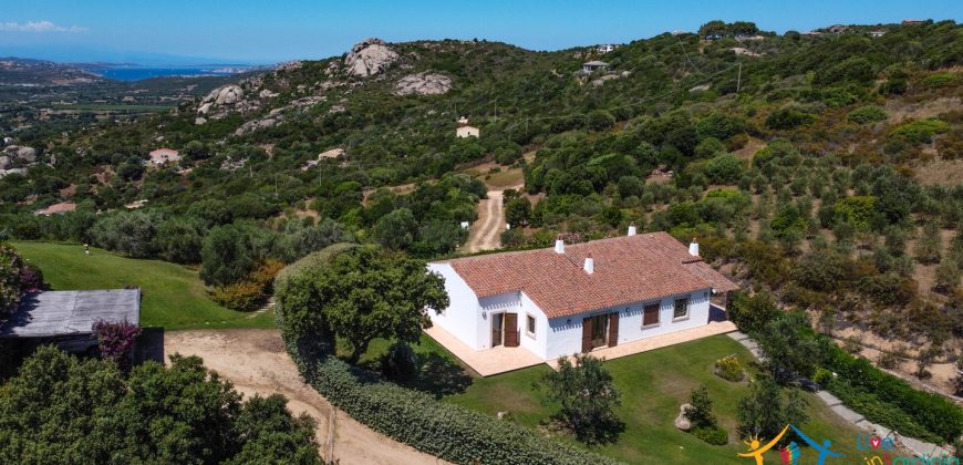 Sea View Villas For Sale Sardinia Ref.Lignamu