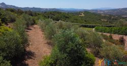 Sea View Villas For Sale Sardinia Ref.Lignamu