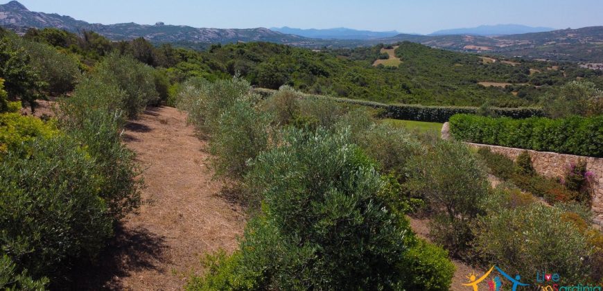 Sea View Villas For Sale Sardinia Ref.Lignamu