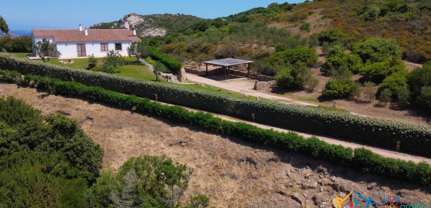 Sea View Villas For Sale Sardinia Ref.Lignamu