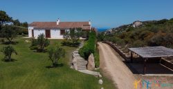 Sea View Villas For Sale Sardinia Ref.Lignamu
