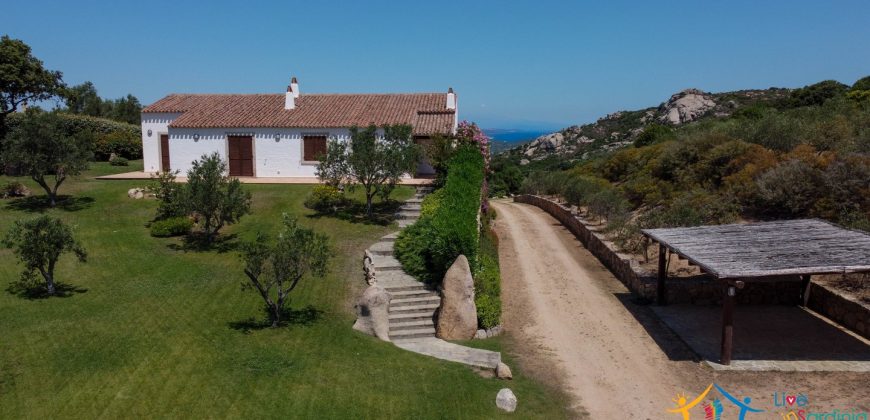 Sea View Villas For Sale Sardinia Ref.Lignamu