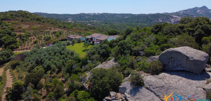 Sea View Villas For Sale Sardinia Ref.Lignamu