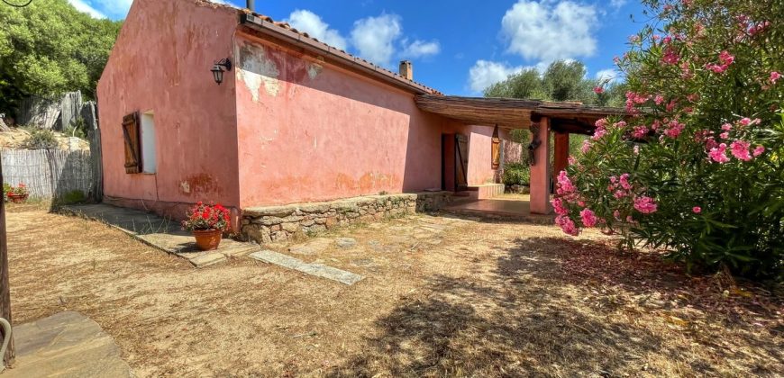 Farmhouses For Sale In Sardinia ref San Biagio