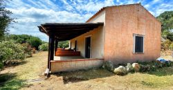 Farmhouses For Sale In Sardinia ref San Biagio