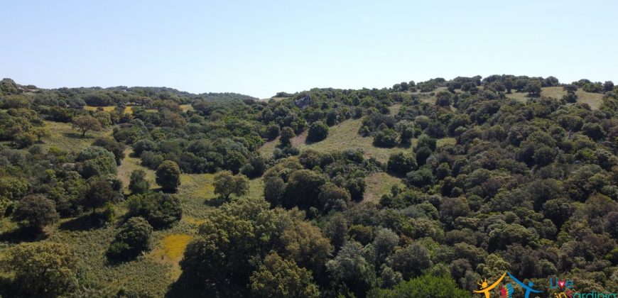 Country Homes For Sale Sardinia ref Micaloni