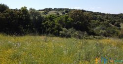 Country Homes For Sale Sardinia ref Micaloni