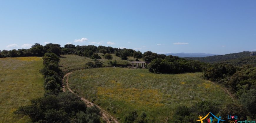 Country Homes For Sale Sardinia ref Micaloni