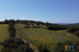 Country Homes For Sale Sardinia ref Micaloni