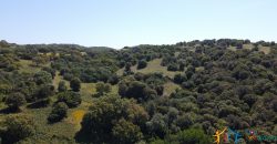 Farmhouse For Sale Olbia ref Micaloni