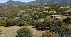 Farmhouse For Sale Olbia ref Micaloni