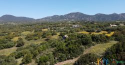 Farmhouse For Sale Olbia ref Micaloni