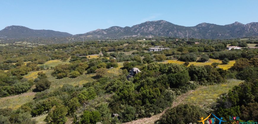 Farmhouse For Sale Olbia ref Micaloni